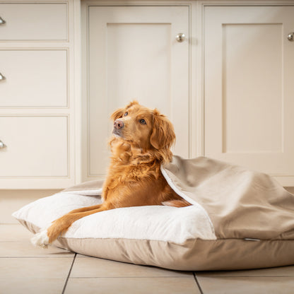 Sleepy Burrows Bed In Clay Velvet By Lords & Labradors