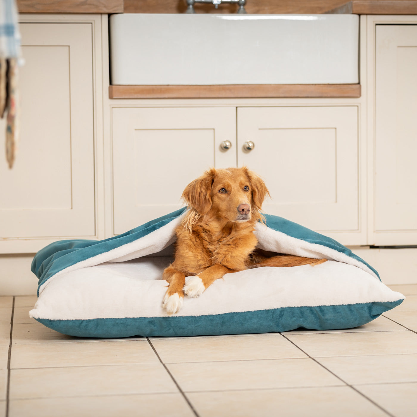 Sleepy Burrows Bed In Marine Velvet By Lords & Labradors