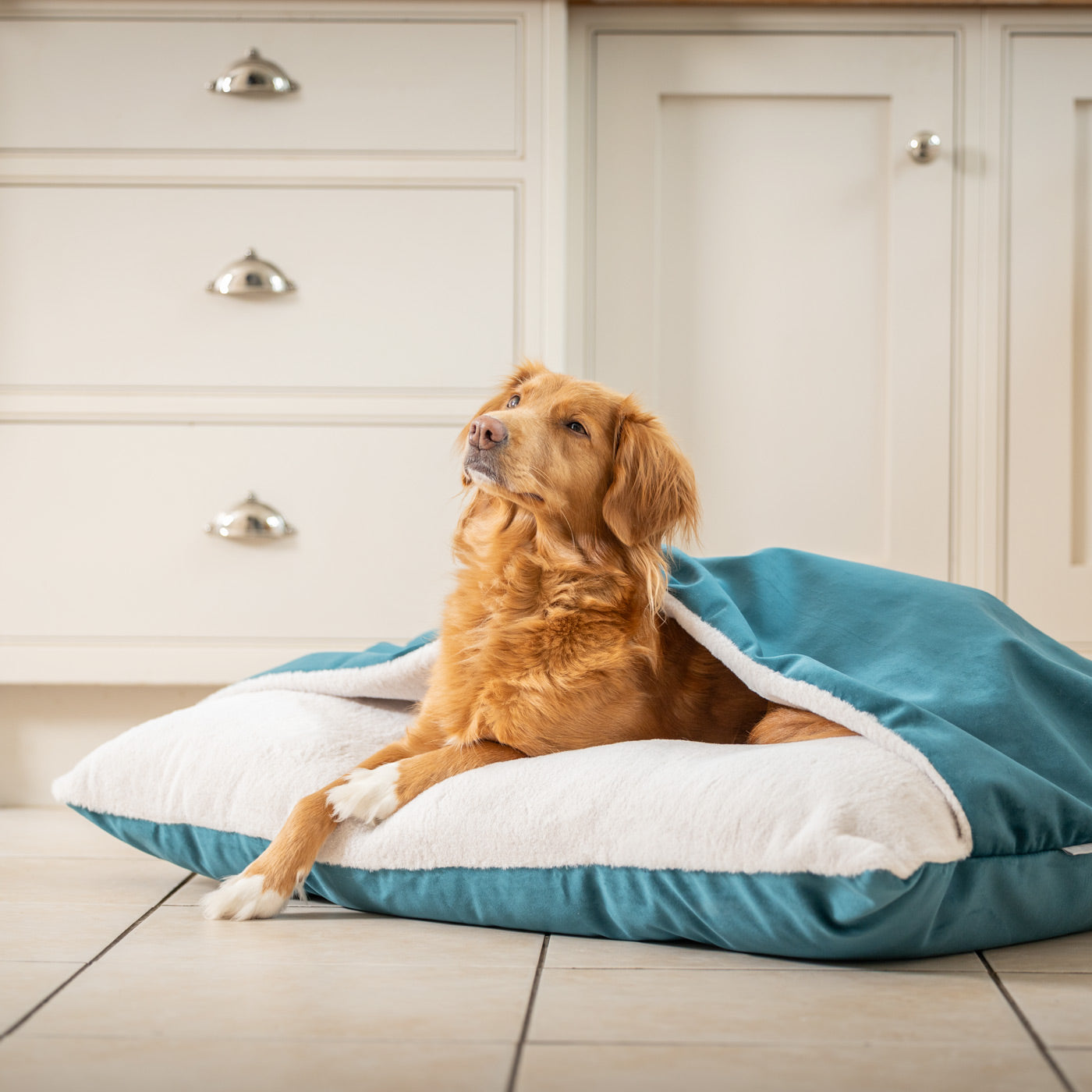 Sleepy Burrows Bed In Marine Velvet By Lords & Labradors