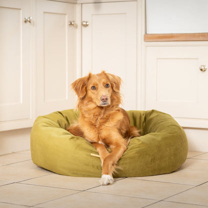 Donut Bed in Olive Velvet By Lords & Labradors