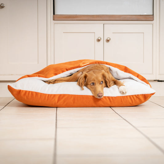 Sleepy Burrows Bed In Pumpkin Velvet By Lords & Labradors