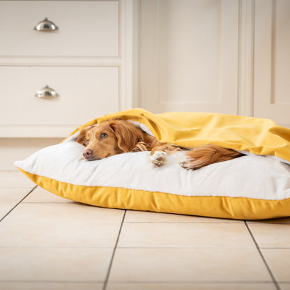 Sleepy Burrows Bed In Saffron Velvet By Lords & Labradors