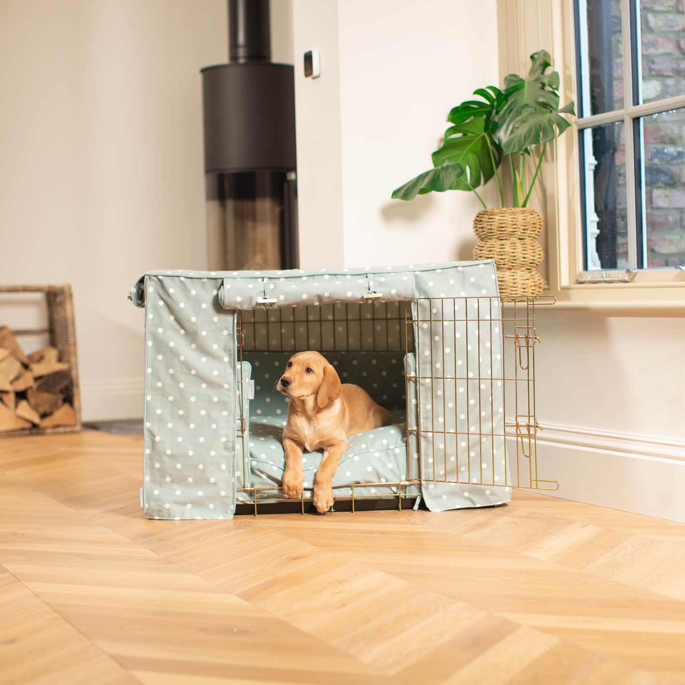 Luxury Heavy Duty Dog Crate, In Stunning Duck Egg Spot Crate Set, The Perfect Dog Crate Set For Building The Ultimate Pet Den! Dog Crate Cover Available To Personalise at Lords & Labradors 