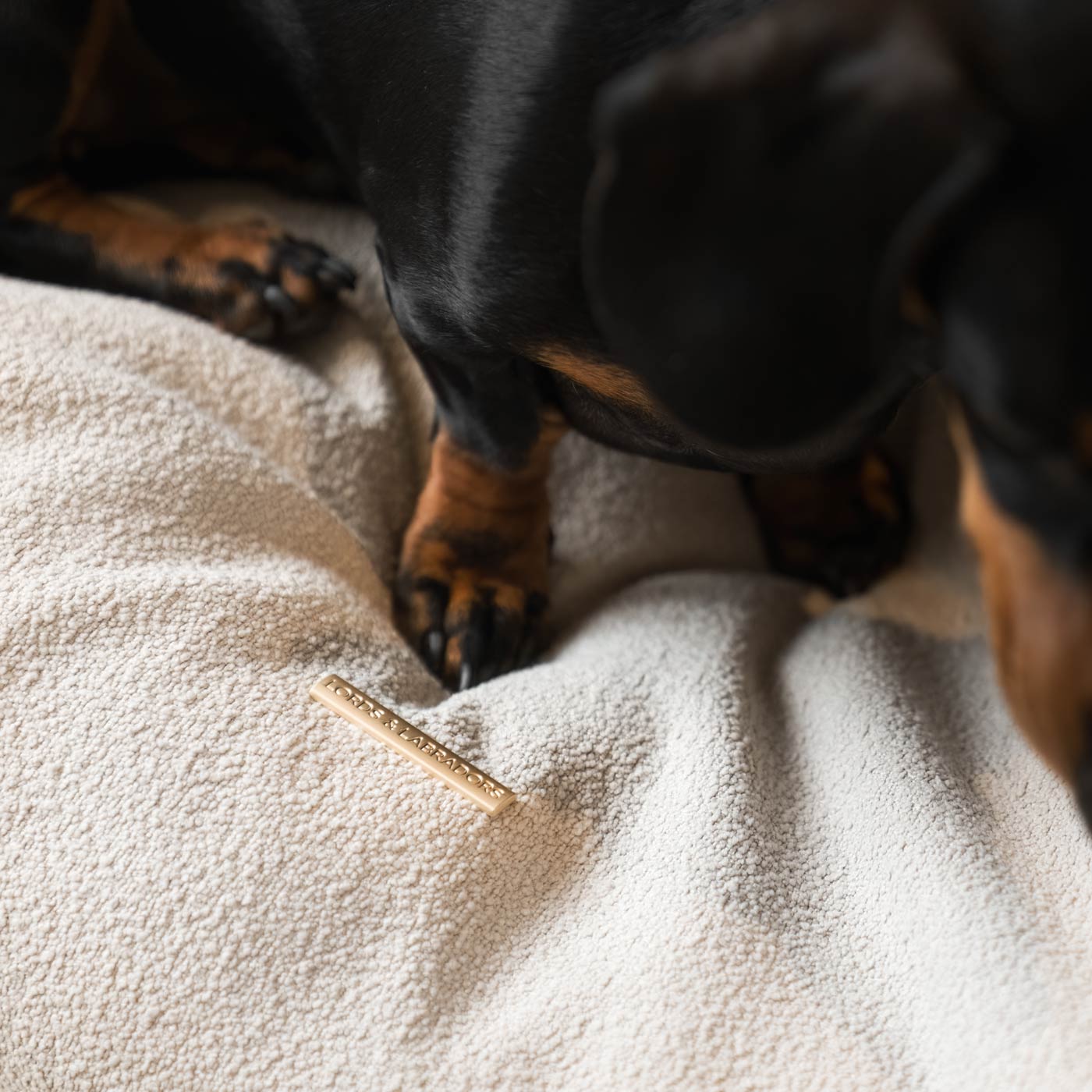 Luxury Dog Cushions & Beds, Squash 'Em in Alabaster, The Perfect Snuggly Cave For Dogs To Burrow! Available Now at Lords & Labradors