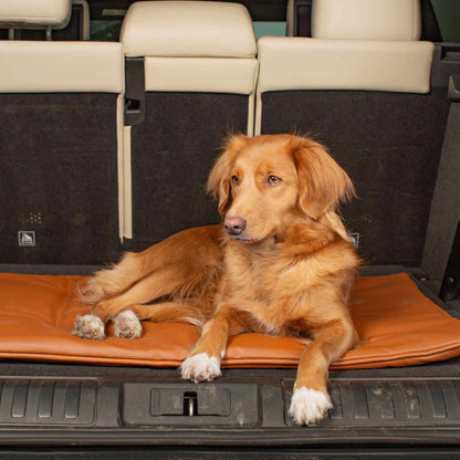 Embark on the perfect pet travel with our luxury Travel Mat in Essentials Rhino Ember. Featuring a Carry handle for on the move once Rolled up for easy storage, can be used as a seat cover, boot mat or travel bed! Available now at Lords & Labradors