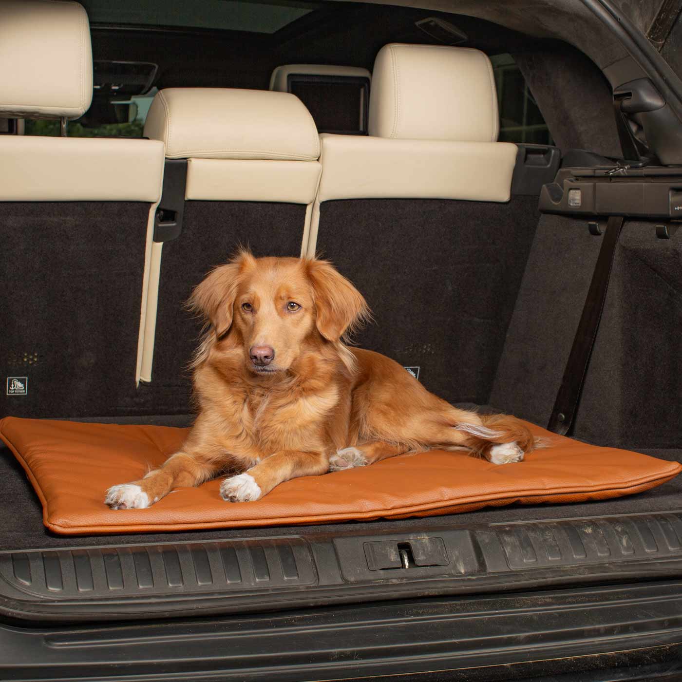 Embark on the perfect pet travel with our luxury Travel Mat in Essentials Rhino Ember. Featuring a Carry handle for on the move once Rolled up for easy storage, can be used as a seat cover, boot mat or travel bed! Available now at Lords & Labradors