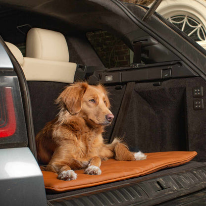 Embark on the perfect pet travel with our luxury Travel Mat in Essentials Rhino Ember. Featuring a Carry handle for on the move once Rolled up for easy storage, can be used as a seat cover, boot mat or travel bed! Available now at Lords & Labradors