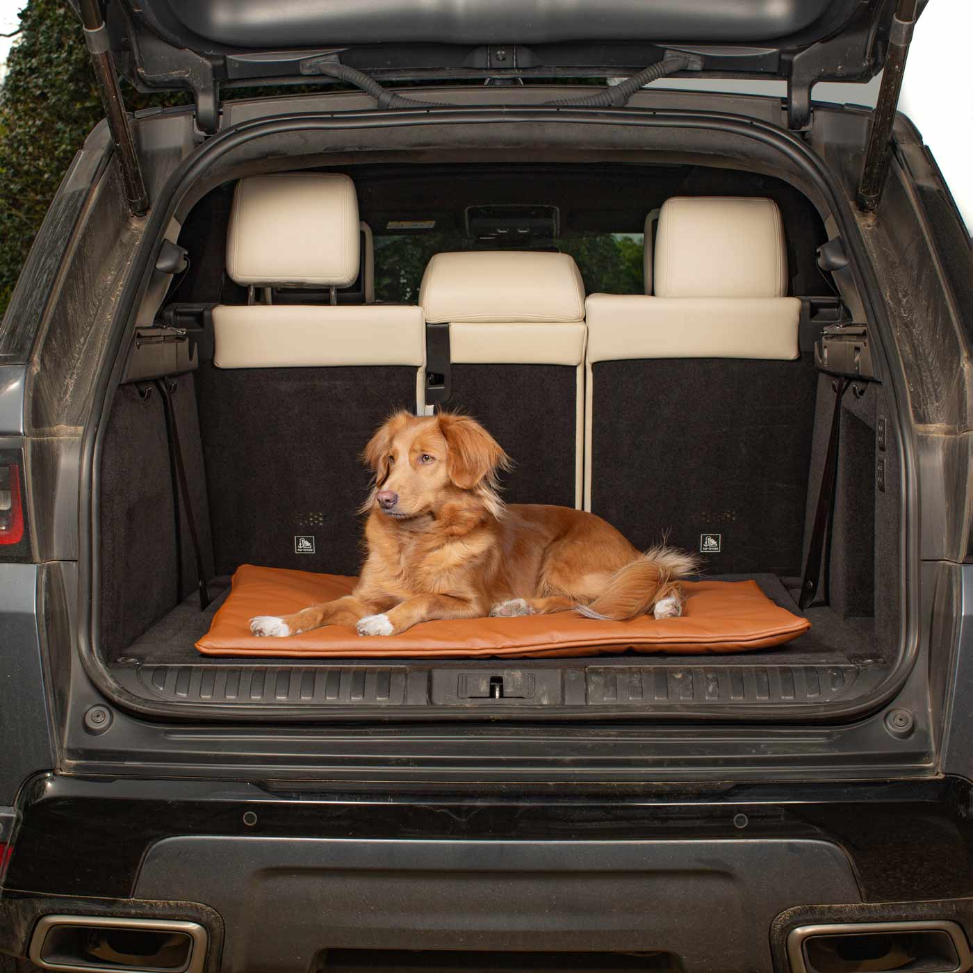 Embark on the perfect pet travel with our luxury Travel Mat in Essentials Rhino Ember. Featuring a Carry handle for on the move once Rolled up for easy storage, can be used as a seat cover, boot mat or travel bed! Available now at Lords & Labradors