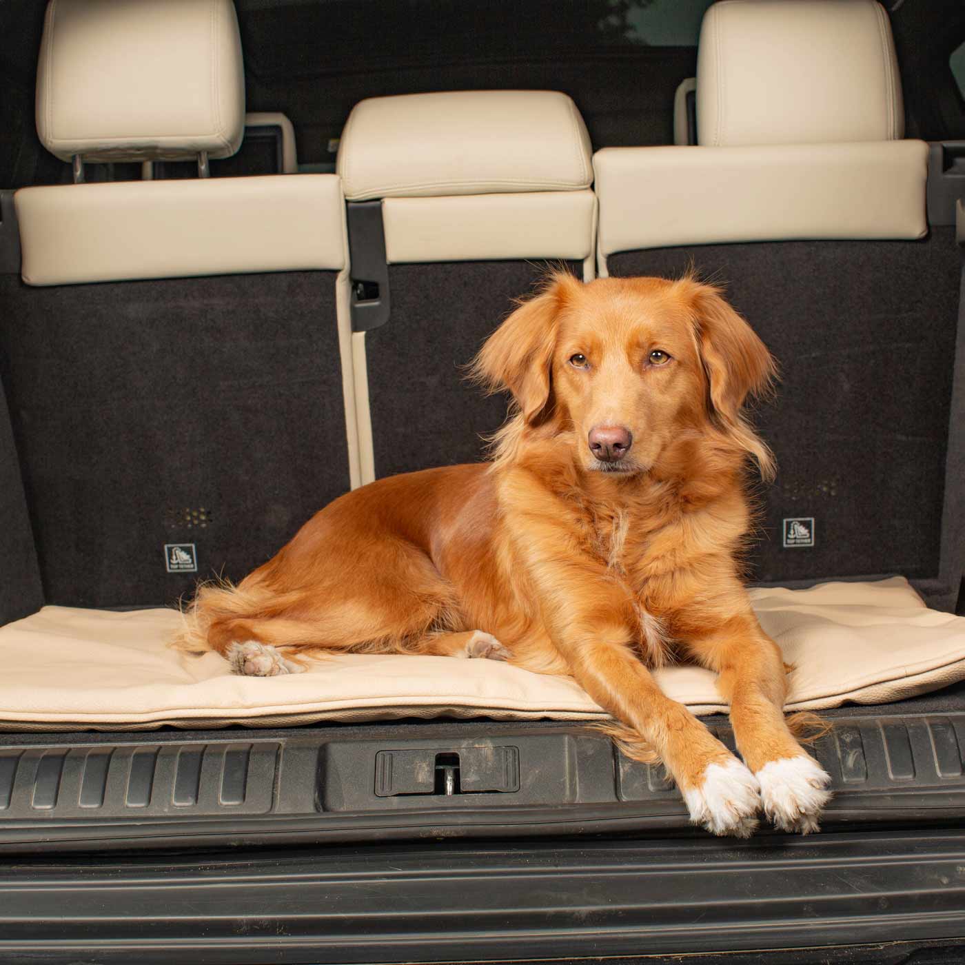 Embark on the perfect pet travel with our luxury Travel Mat in Rhino Sand. Featuring a Carry handle for on the move once Rolled up for easy storage, can be used as a seat cover, boot mat or travel bed! Available now at Lords & Labradors