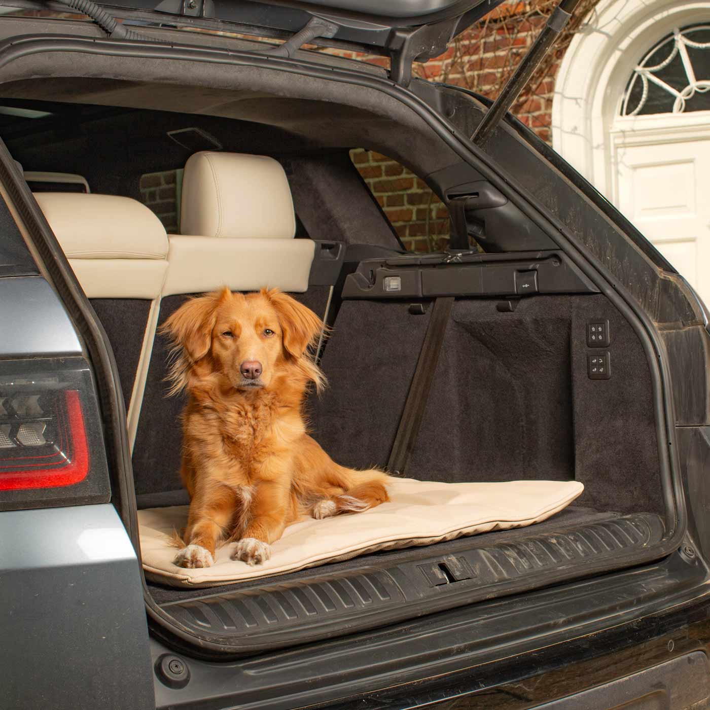 Embark on the perfect pet travel with our luxury Travel Mat in Rhino Sand. Featuring a Carry handle for on the move once Rolled up for easy storage, can be used as a seat cover, boot mat or travel bed! Available now at Lords & Labradors