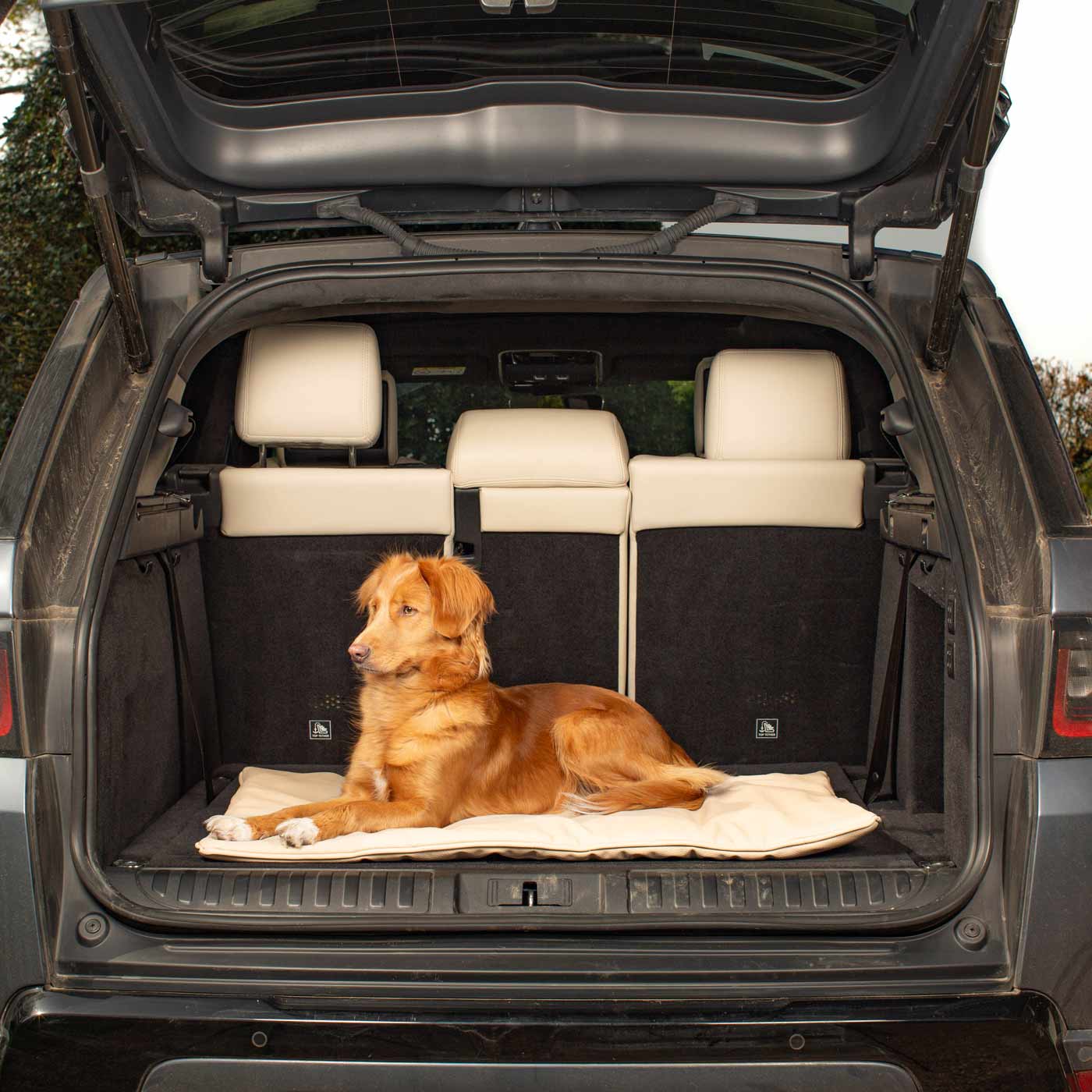 Embark on the perfect pet travel with our luxury Travel Mat in Rhino Sand. Featuring a Carry handle for on the move once Rolled up for easy storage, can be used as a seat cover, boot mat or travel bed! Available now at Lords & Labradors