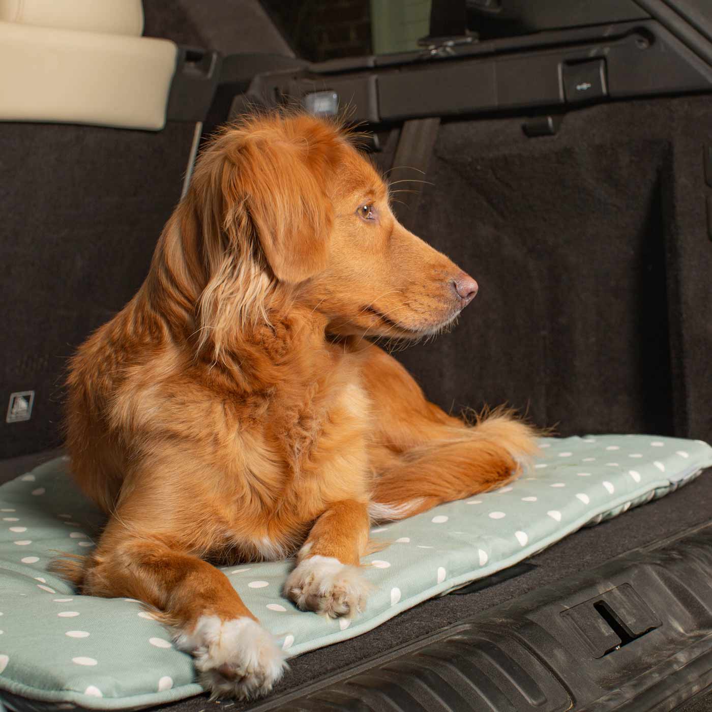 Embark on the perfect pet travel with our luxury Travel Mat in Essentials Duck Egg Spot. Featuring a Carry handle for on the move once Rolled up for easy storage, can be used as a seat cover, boot mat or travel bed! Available now at Lords & Labradors