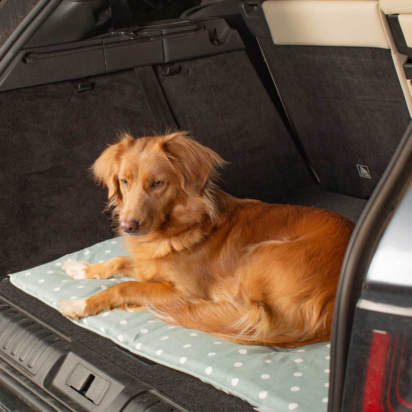 Embark on the perfect pet travel with our luxury Travel Mat in Essentials Duck Egg Spot. Featuring a Carry handle for on the move once Rolled up for easy storage, can be used as a seat cover, boot mat or travel bed! Available now at Lords & Labradors