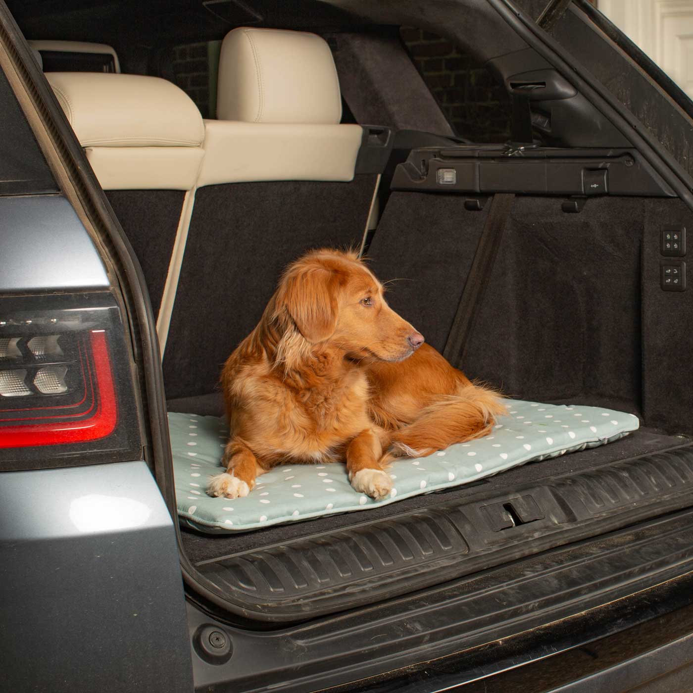 Embark on the perfect pet travel with our luxury Travel Mat in Essentials Duck Egg Spot. Featuring a Carry handle for on the move once Rolled up for easy storage, can be used as a seat cover, boot mat or travel bed! Available now at Lords & Labradors