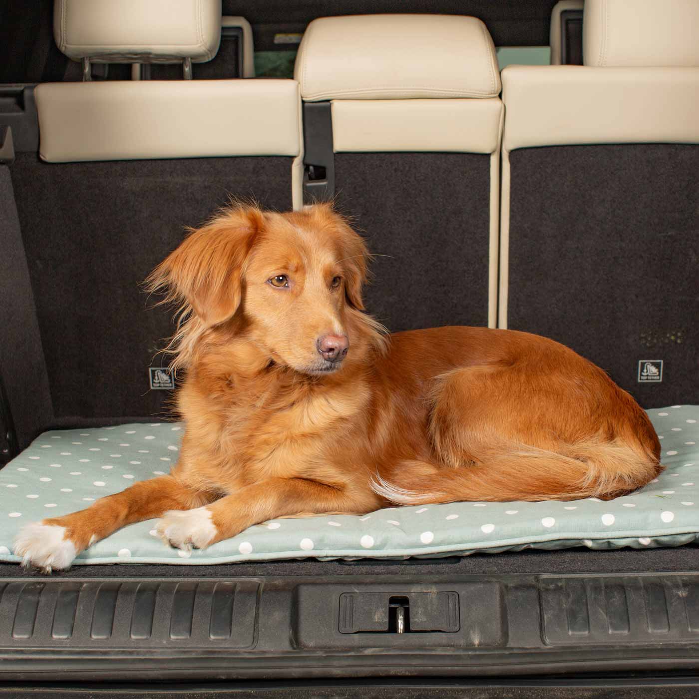 Embark on the perfect pet travel with our luxury Travel Mat in Essentials Duck Egg Spot. Featuring a Carry handle for on the move once Rolled up for easy storage, can be used as a seat cover, boot mat or travel bed! Available now at Lords & Labradors