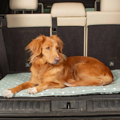 Embark on the perfect pet travel with our luxury Travel Mat in Essentials Duck Egg Spot. Featuring a Carry handle for on the move once Rolled up for easy storage, can be used as a seat cover, boot mat or travel bed! Available now at Lords & Labradors