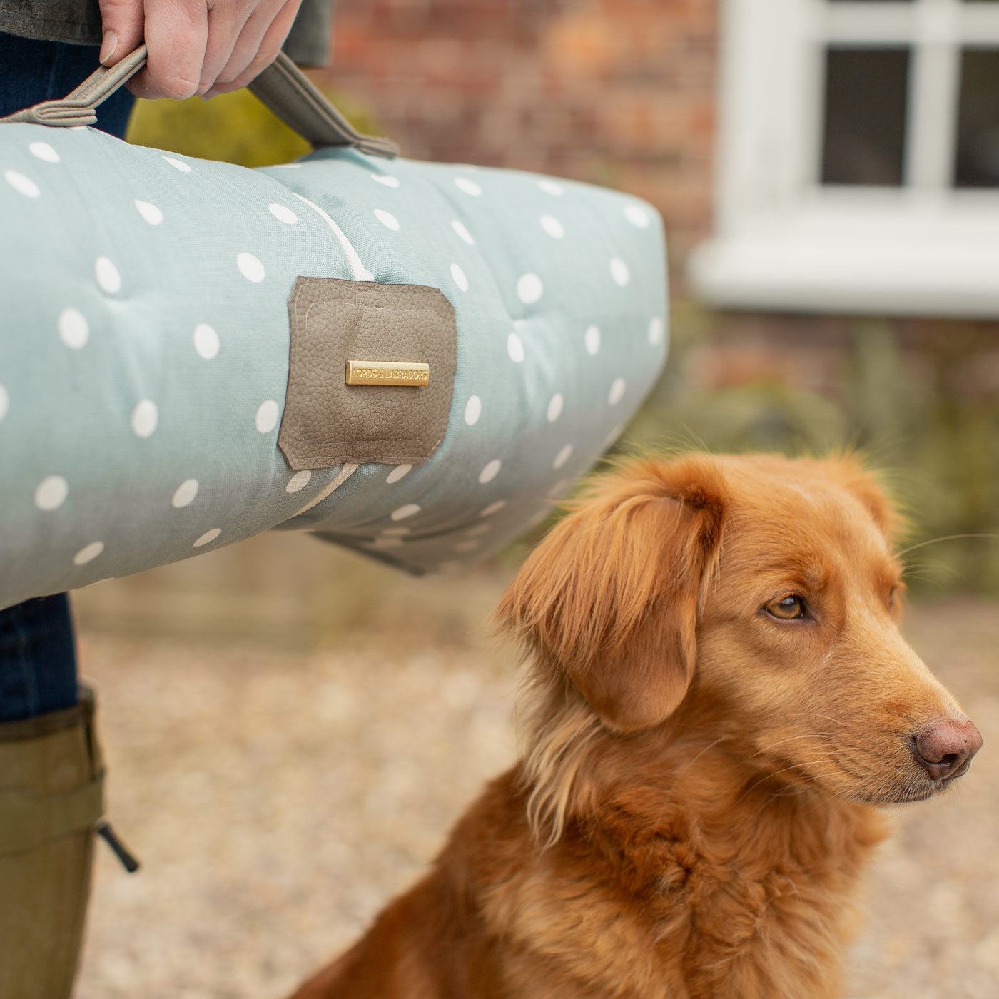 Embark on the perfect pet travel with our luxury Travel Mat in Essentials Duck Egg Spot. Featuring a Carry handle for on the move once Rolled up for easy storage, can be used as a seat cover, boot mat or travel bed! Available now at Lords & Labradors