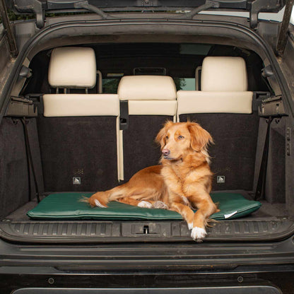 Embark on the perfect pet travel with our luxury Travel Mat in Rhino Forest (Green). Featuring a Carry handle for on the move once Rolled up for easy storage, can be used as a seat cover, boot mat or travel bed! Available now at Lords & Labradors 