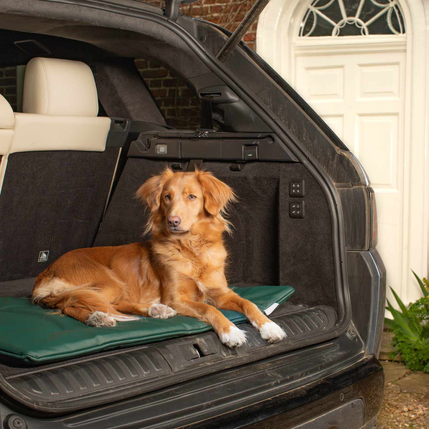 Embark on the perfect pet travel with our luxury Travel Mat in Rhino Forest (Green). Featuring a Carry handle for on the move once Rolled up for easy storage, can be used as a seat cover, boot mat or travel bed! Available now at Lords & Labradors 