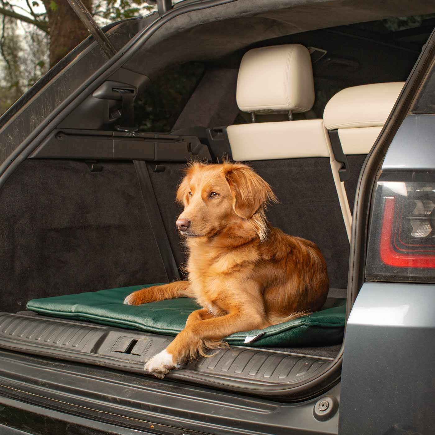 Embark on the perfect pet travel with our luxury Travel Mat in Rhino Forest (Green). Featuring a Carry handle for on the move once Rolled up for easy storage, can be used as a seat cover, boot mat or travel bed! Available now at Lords & Labradors 