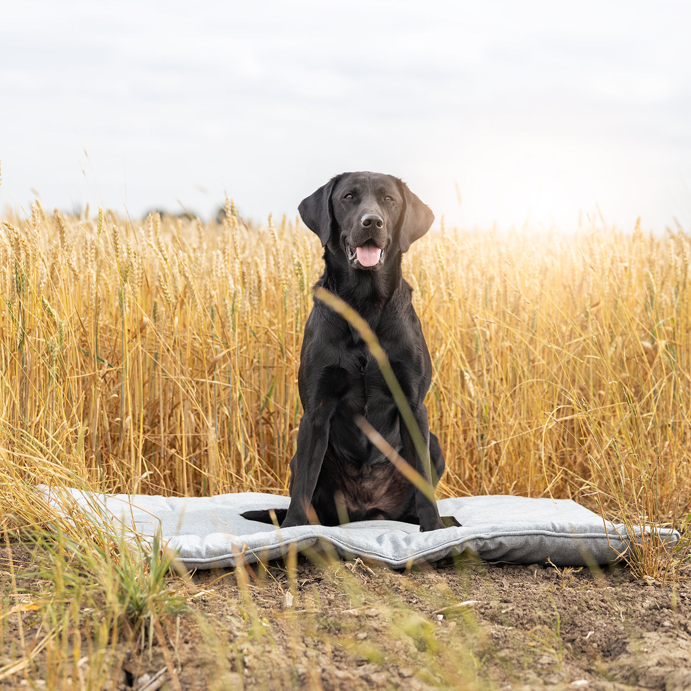 Travel Mat In Inchmurrin Iceberg By Lords & Labradors