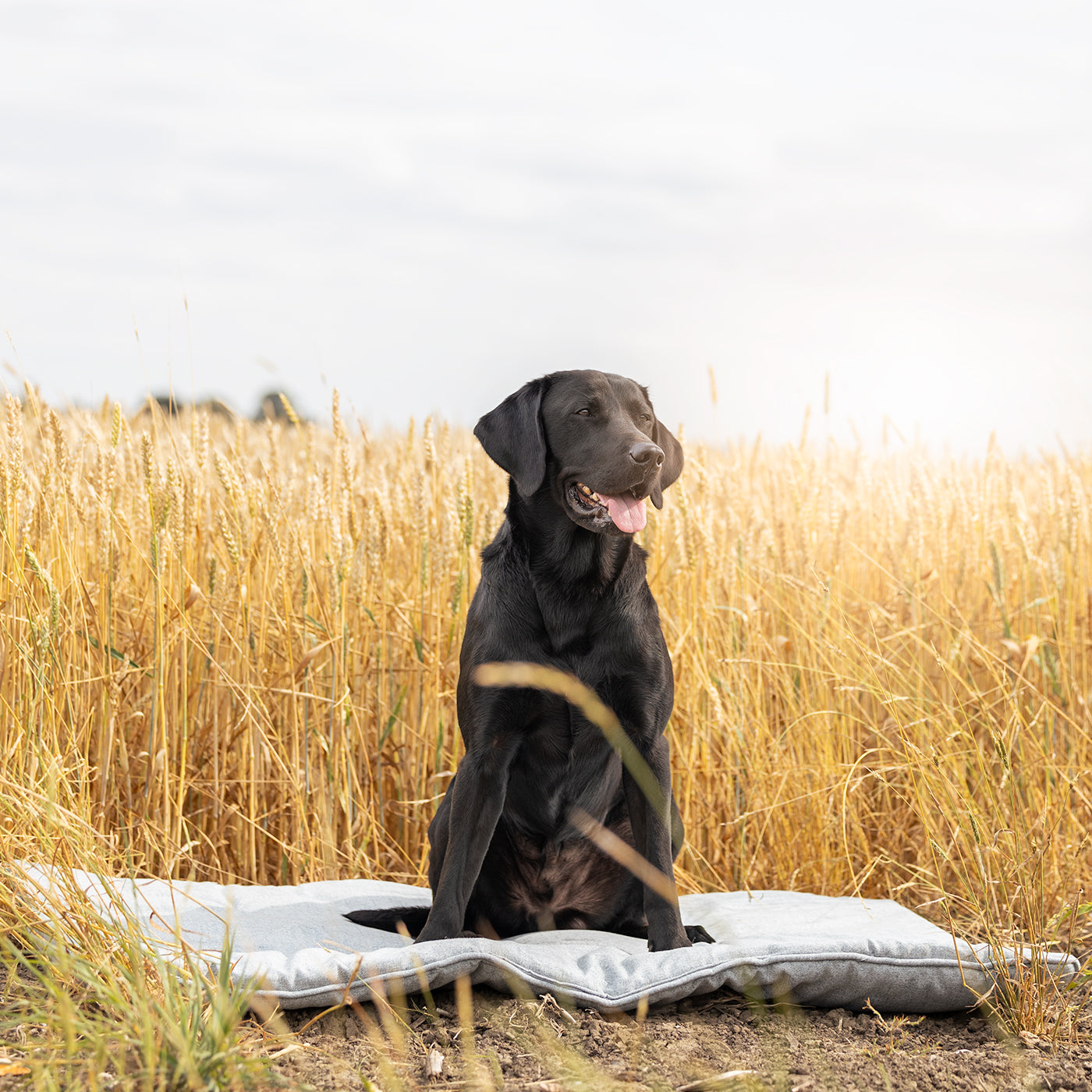 Travel Mat In Inchmurrin Iceberg By Lords & Labradors