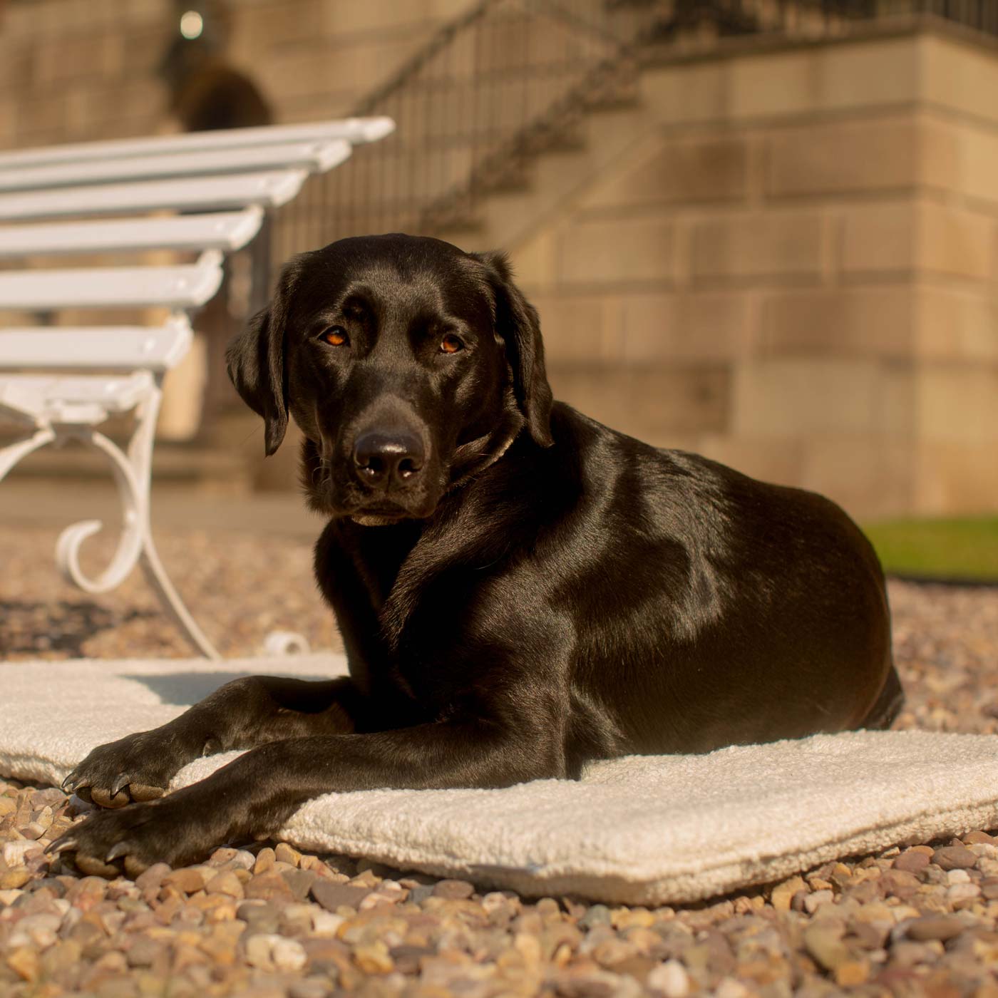 Travel Mat in Ivory Bouclé by Lords & Labradors