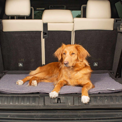 Embark on the perfect pet travel with our luxury Travel Mat in Oxford Herringbone. Featuring a Carry handle for on the move once Rolled up for easy storage, can be used as a seat cover, boot mat or travel bed! Available now at Lords & Labradors