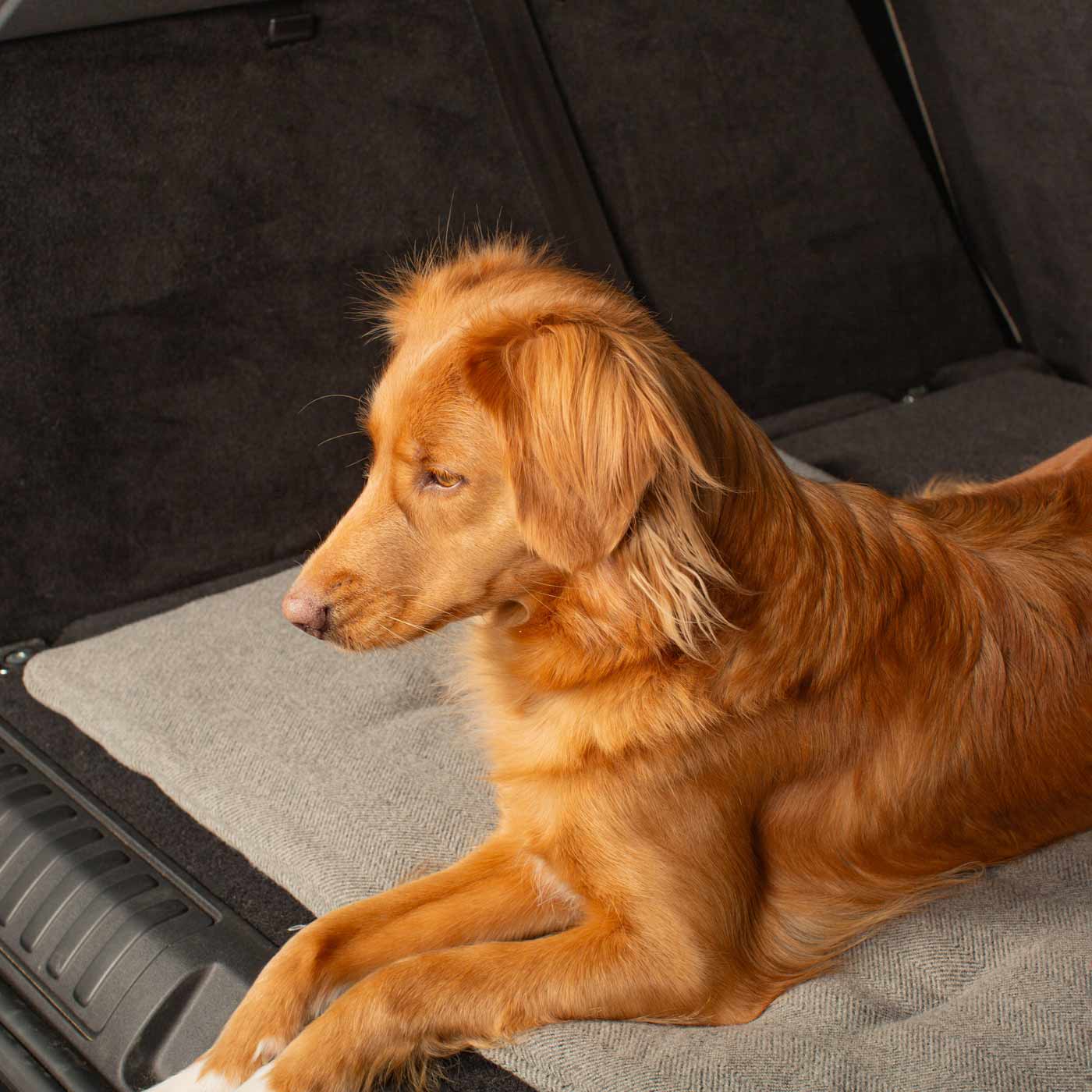 Embark on the perfect pet travel with our luxury Travel Mat in Pewter Herringbone. Featuring a Carry handle for on the move once Rolled up for easy storage, can be used as a seat cover, boot mat or travel bed! Available now at Lords & Labradors