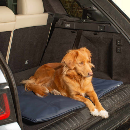 Embark on the perfect pet travel with our luxury Travel Mat in Rhino Pacific. Featuring a Carry handle for on the move once Rolled up for easy storage, can be used as a seat cover, boot mat or travel bed! Available now at Lords & Labradors