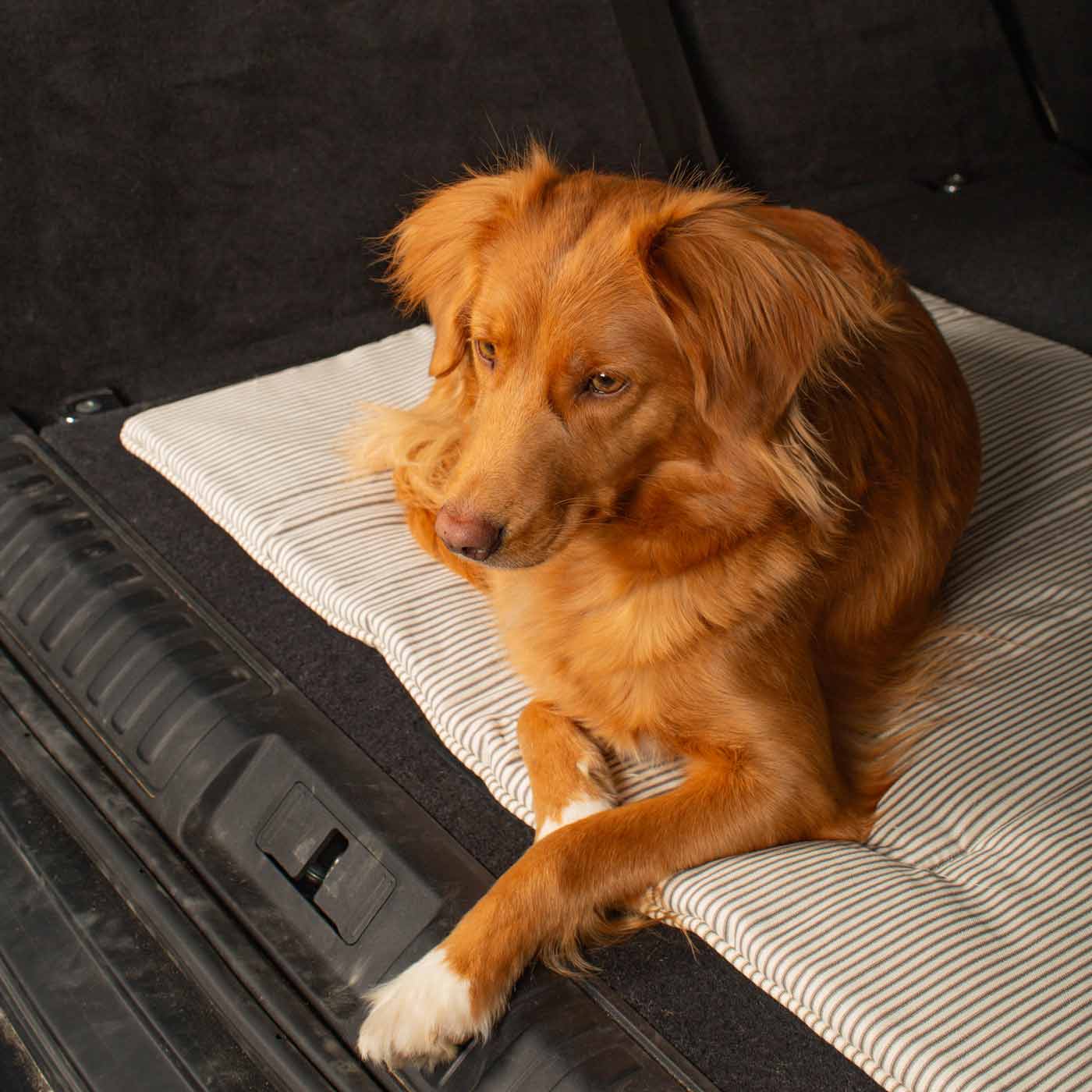 Embark on the perfect pet travel with our luxury Travel Mat in Regency Stripe. Featuring a Carry handle for on the move once Rolled up for easy storage, can be used as a seat cover, boot mat or travel bed! Available now at Lords & Labradors