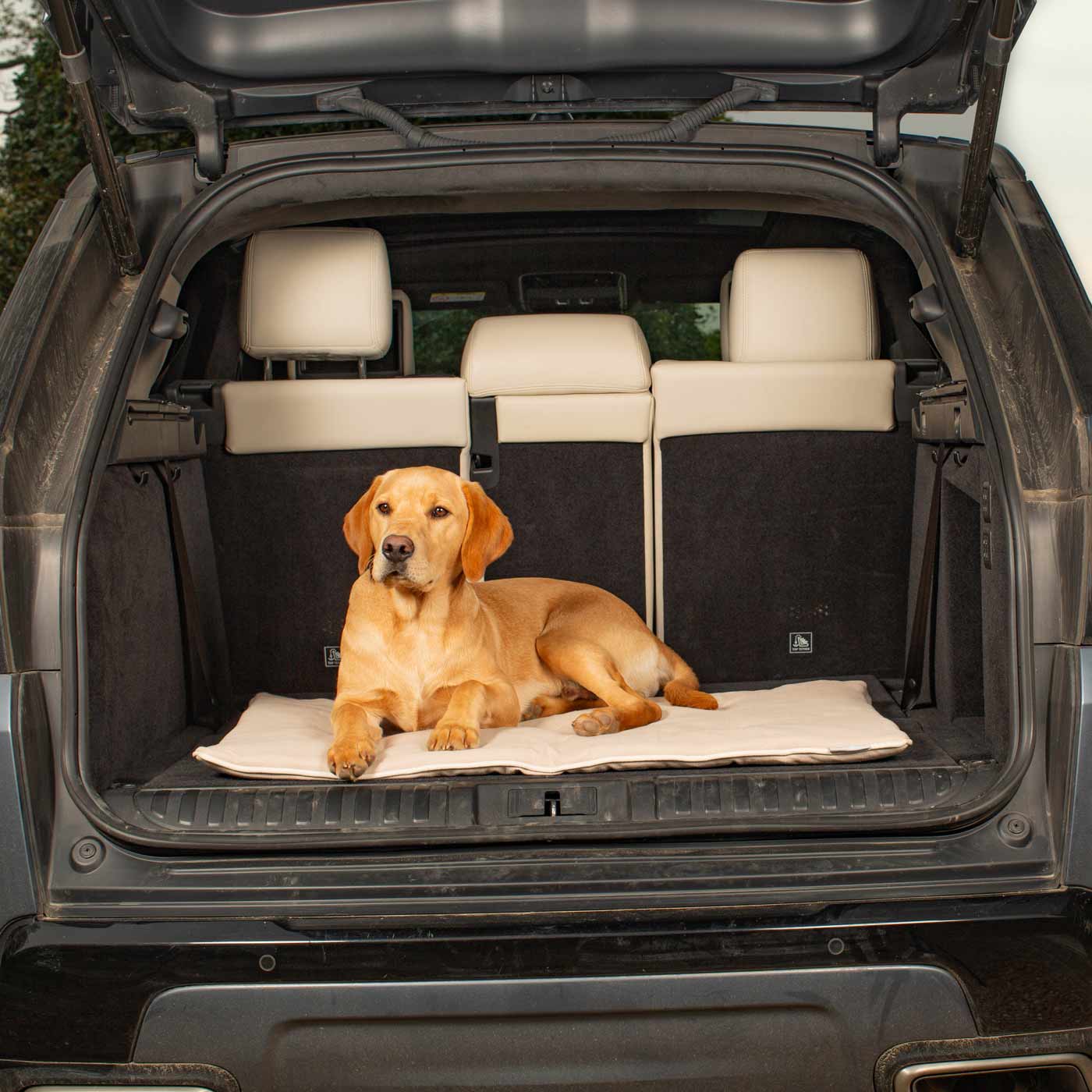 Embark on the perfect pet travel with our luxury Travel Mat in Savanna Bone! Featuring a Carry handle for on the move once Rolled up for easy storage, can be used as a seat cover, boot mat or travel bed! Available now at Lords & Labradors