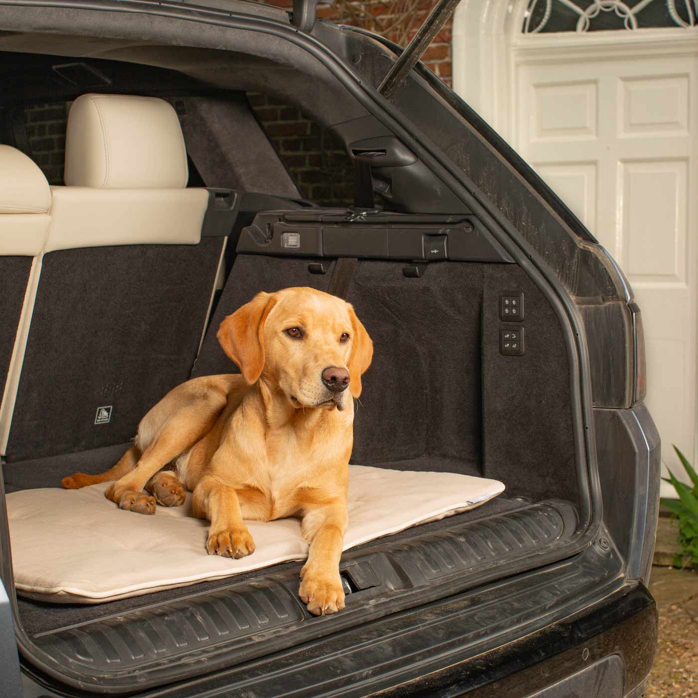 Embark on the perfect pet travel with our luxury Travel Mat in Savanna Bone! Featuring a Carry handle for on the move once Rolled up for easy storage, can be used as a seat cover, boot mat or travel bed! Available now at Lords & Labradors