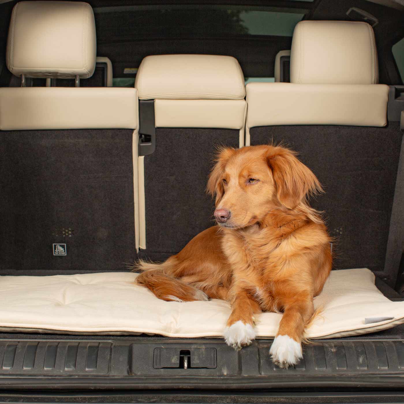 Embark on the perfect pet travel with our luxury Travel Mat in Savanna Bone! Featuring a Carry handle for on the move once Rolled up for easy storage, can be used as a seat cover, boot mat or travel bed! Available now at Lords & Labradors