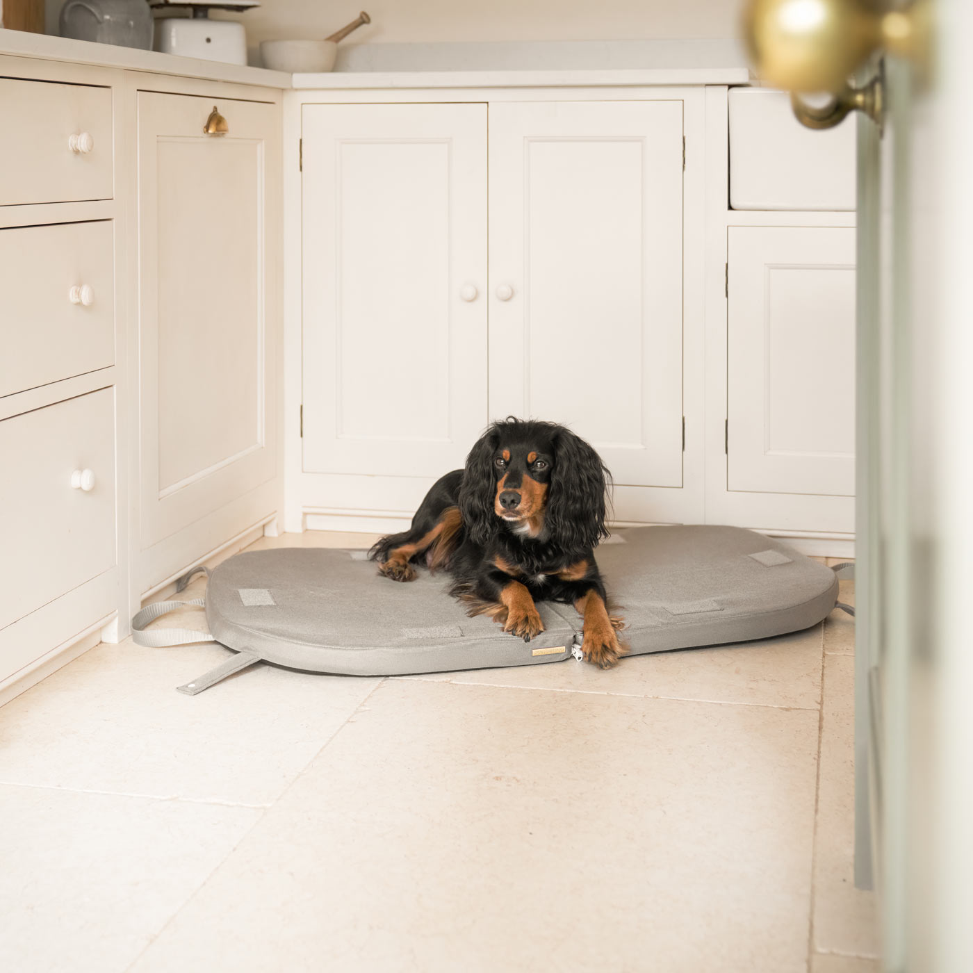 Discover Our Luxurious “The Ultimate Capsule” Dog Travel Bed, Crafted To Deliver A Non-Slip Base & Breathable Mesh Fabric For Extra Comfort! Bringing Your Canine Companion, The Perfect Travel Bed For Dogs To Curl Up To! Available Now at Lords & Labradors       