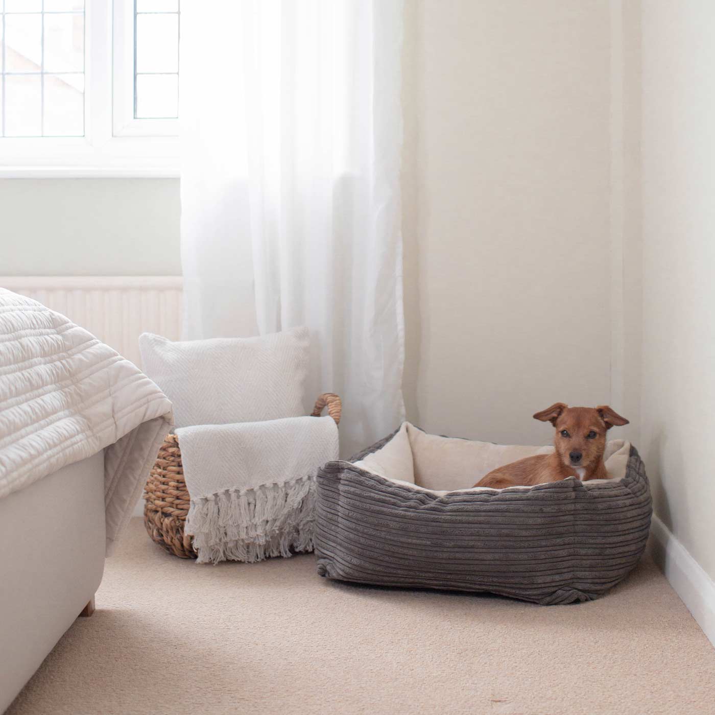 Super Soft, Plush Fabric Essentials Box Bed For Dogs, A Luxury Dog Bed Made Using Sherpa/Fleece To Bring The Perfect Pet Bed For The Ultimate Nap Time! Available Now at Lords & Labradors