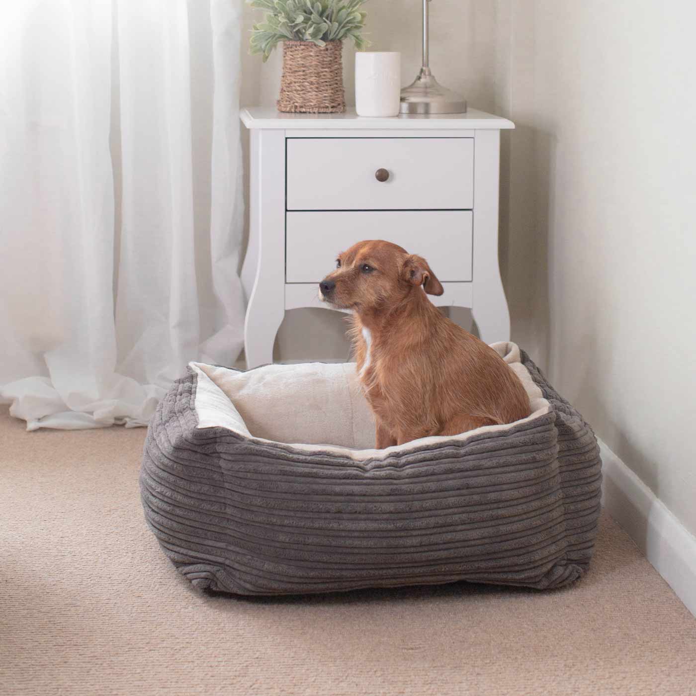 Super Soft, Plush Fabric Essentials Box Bed For Dogs, A Luxury Dog Bed Made Using Sherpa/Fleece To Bring The Perfect Pet Bed For The Ultimate Nap Time! Available Now at Lords & Labradors