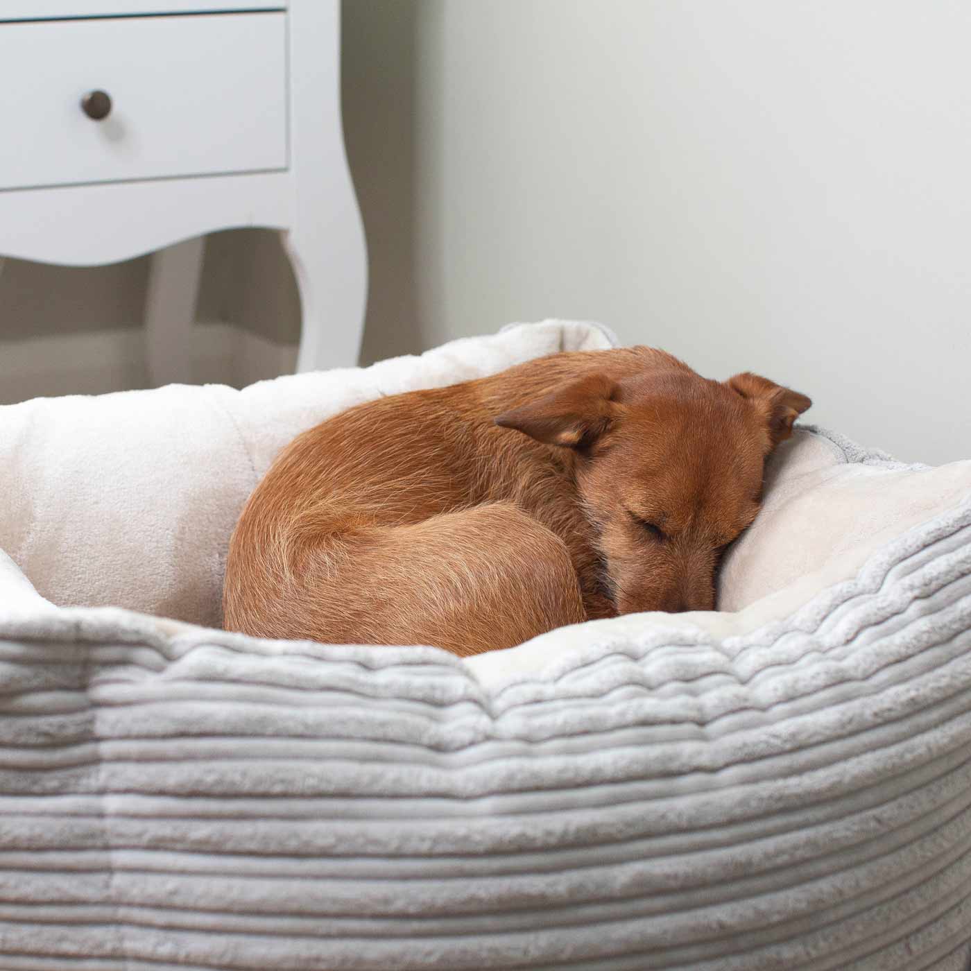 Super Soft, Plush Fabric Essentials Box Bed For Dogs, A Luxury Dog Bed Made Using Sherpa/Fleece To Bring The Perfect Pet Bed For The Ultimate Nap Time! Available Now at Lords & Labradors