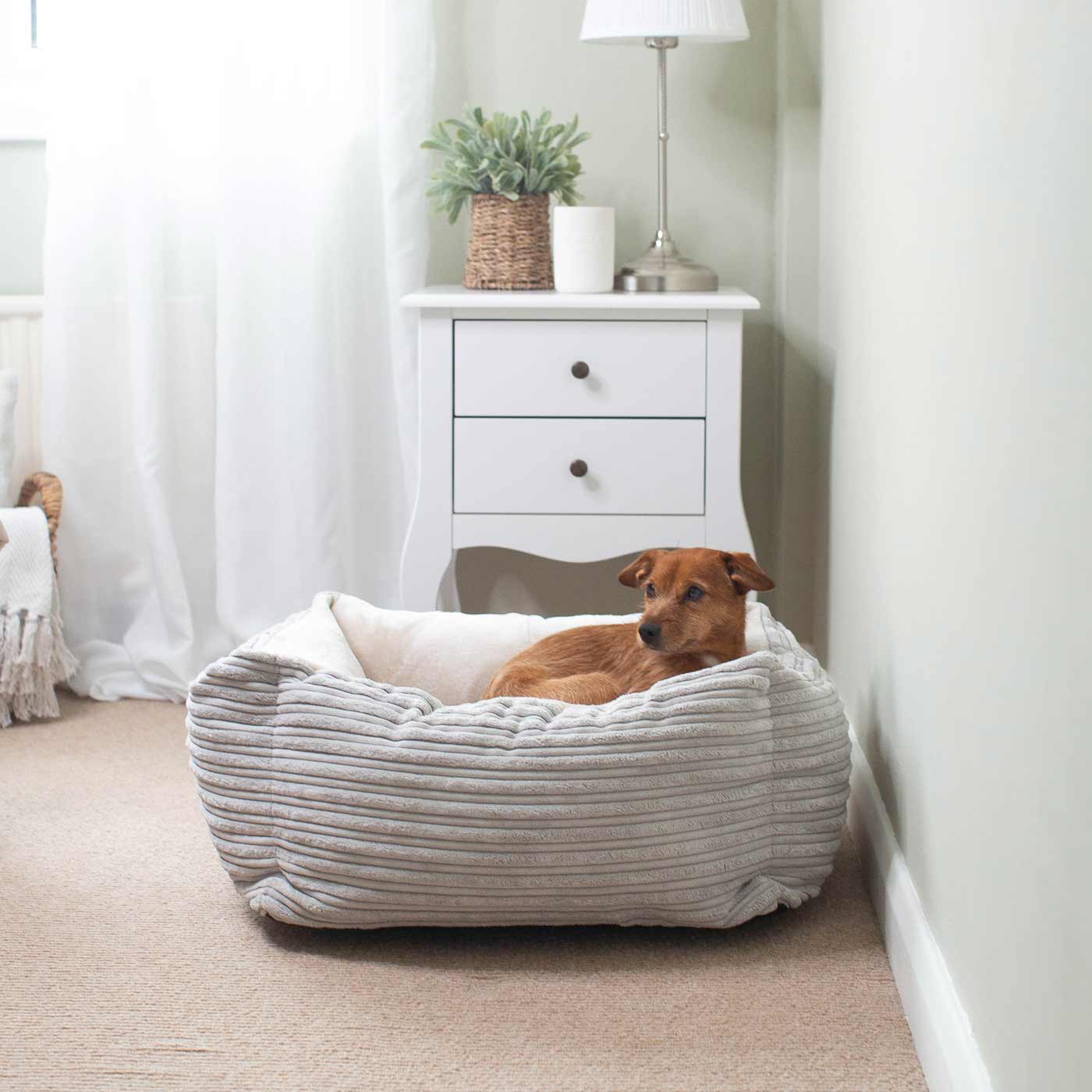 Super Soft, Plush Fabric Essentials Box Bed For Dogs, A Luxury Dog Bed Made Using Sherpa/Fleece To Bring The Perfect Pet Bed For The Ultimate Nap Time! Available Now at Lords & Labradors