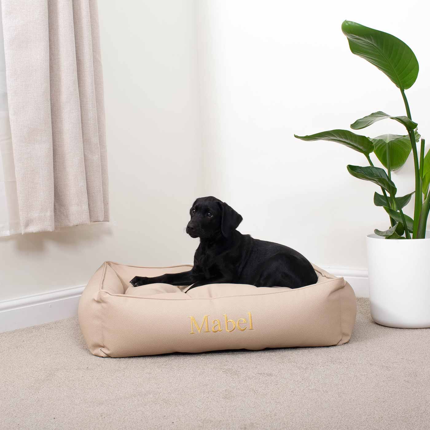 Luxury Handmade Box Bed in Rhino Tough Faux Leather, in Sand, Perfect For Your Pets Nap Time! Available To Personalise at Lords & Labradors