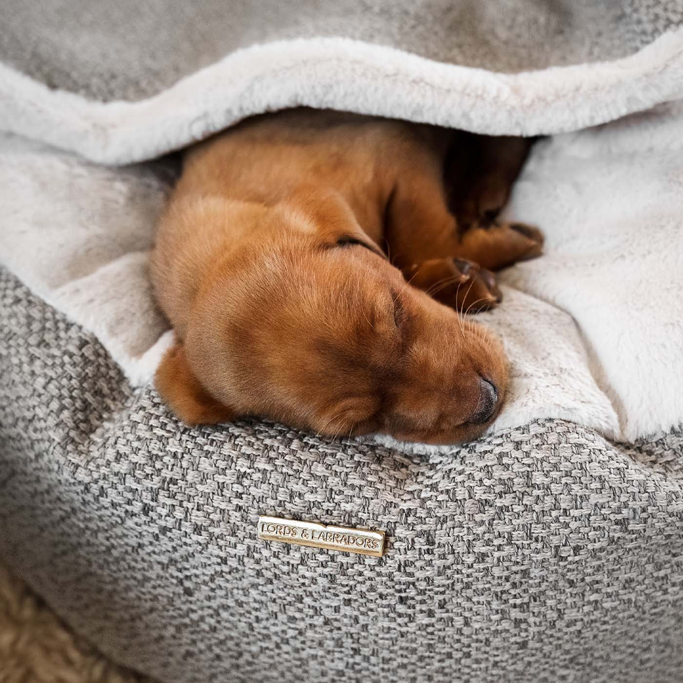 Discover This Luxurious Dog Den, Made Using Beautiful Herdwick Fabric To Craft The Perfect Den For Dogs! In Stunning Pebble, Available Now at Lords & Labradors 