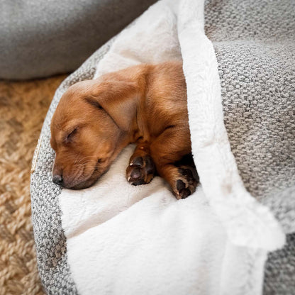 Discover This Luxurious Dog Den, Made Using Beautiful Herdwick Fabric To Craft The Perfect Den For Dogs! In Stunning Pebble, Available Now at Lords & Labradors 