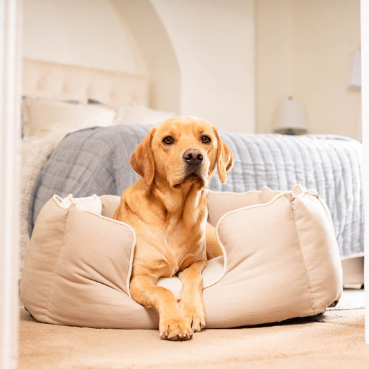 High Wall Bed For Dogs in Savanna Oatmeal by Lords & Labradors