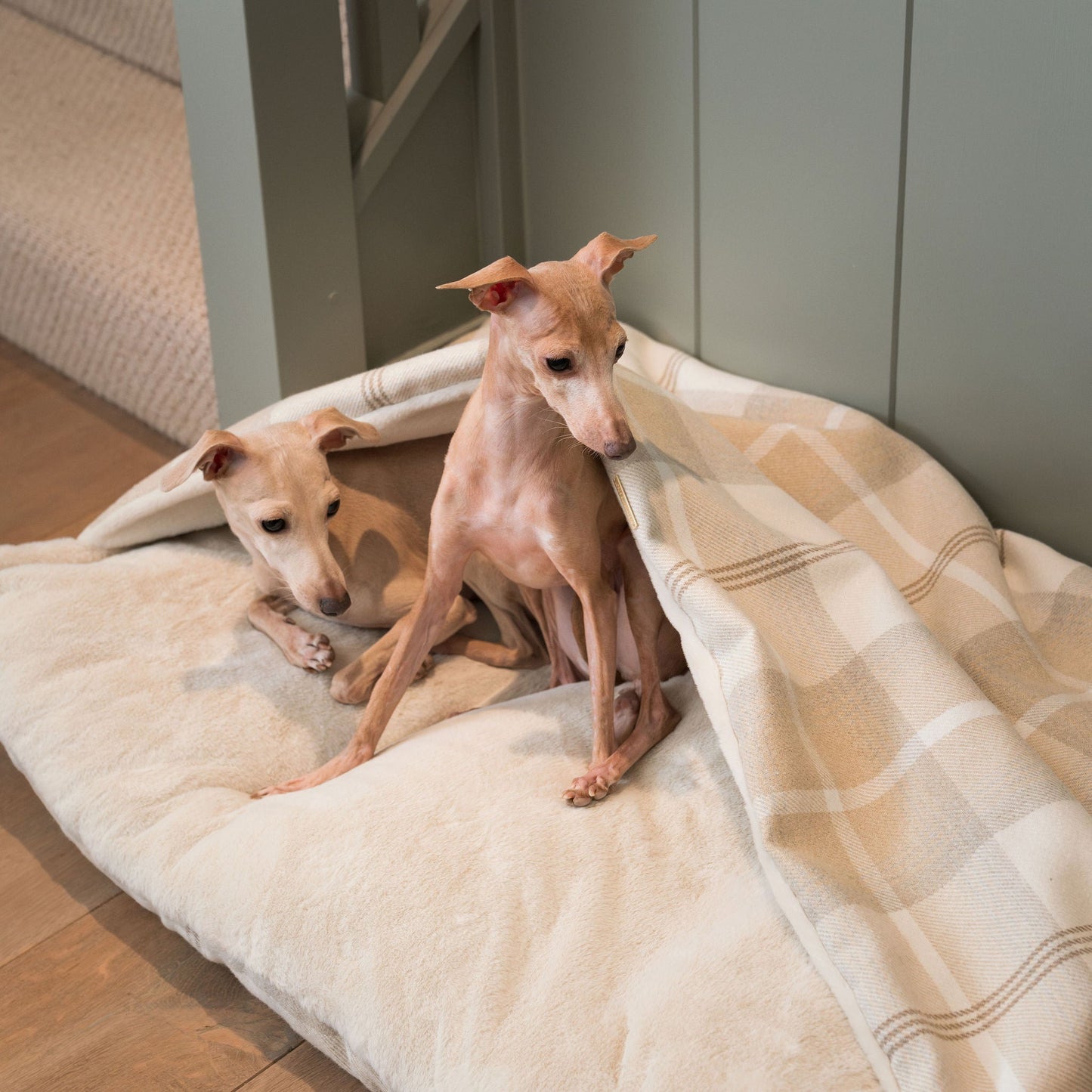 Discover The Perfect Burrow For Your Pet, Our Stunning Sleepy Burrow Dog Beds, In Natural Tweed Available Now at Lords & Labradors