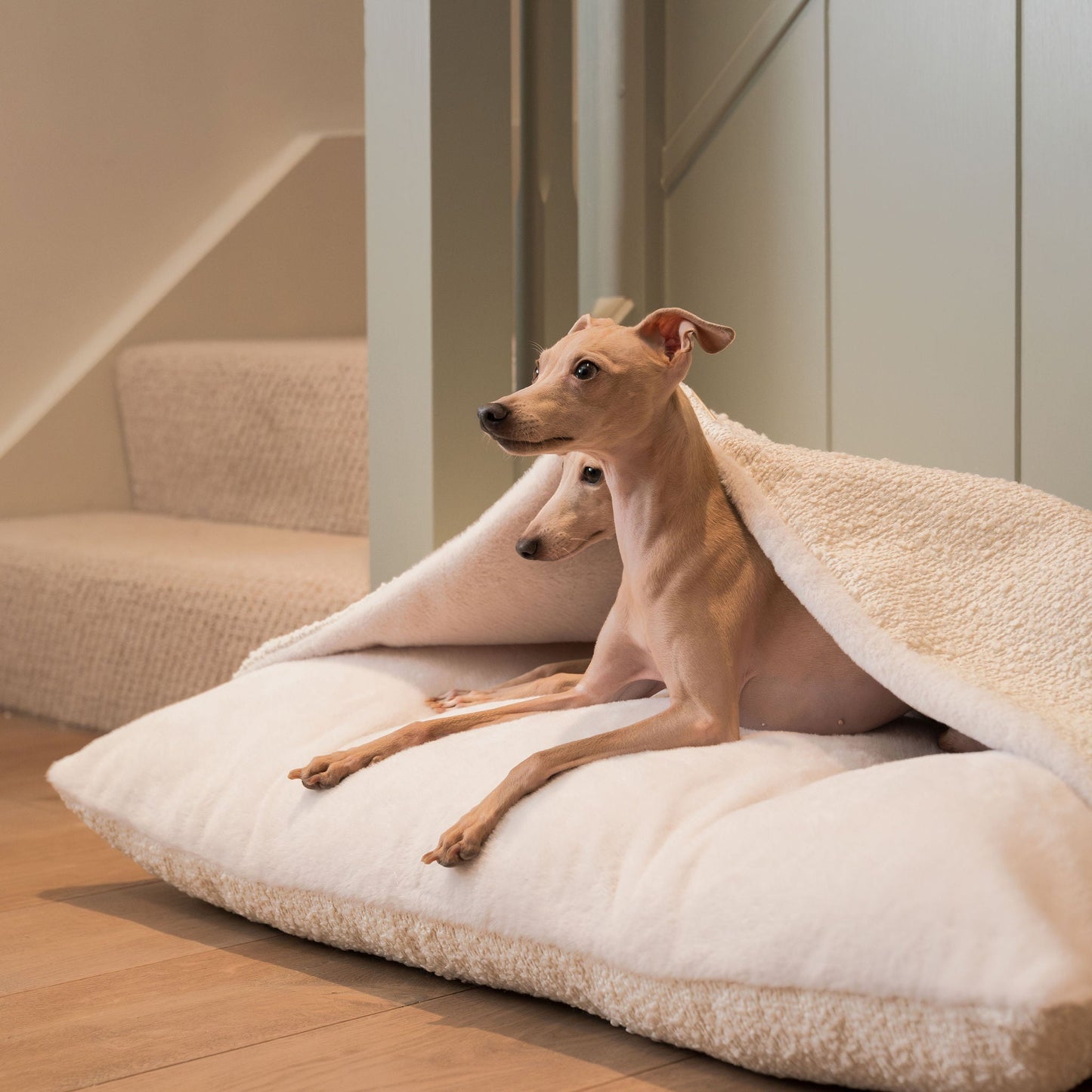 Luxury Ivory Boucle Sleepy Burrow, The Perfect bed For a Pet to Burrow. Available To Personalise In Stunning Ivory Bouclé Here at Lords & Labradors