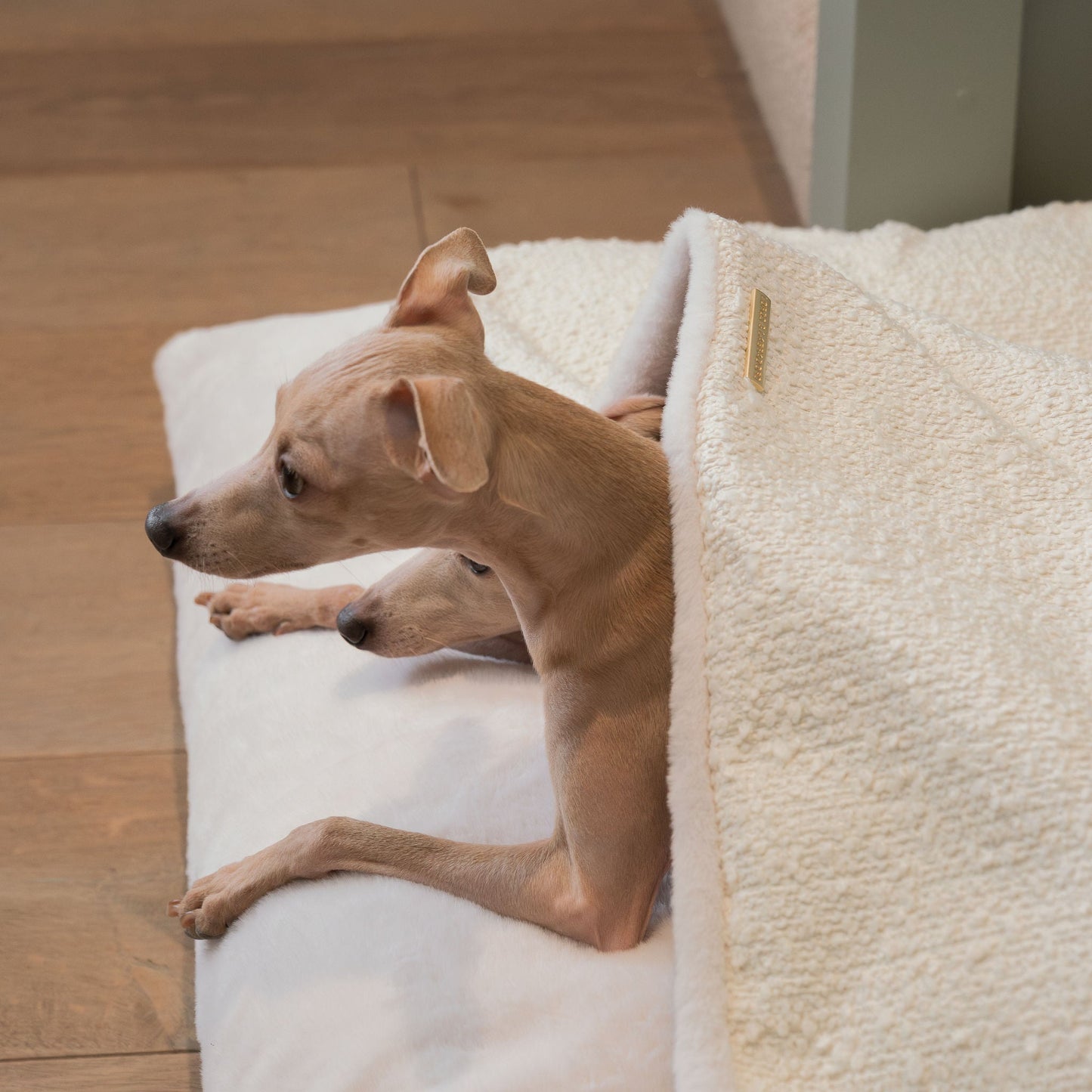 Luxury Ivory Boucle Sleepy Burrow, The Perfect bed For a Pet to Burrow. Available To Personalise In Stunning Ivory Bouclé Here at Lords & Labradors