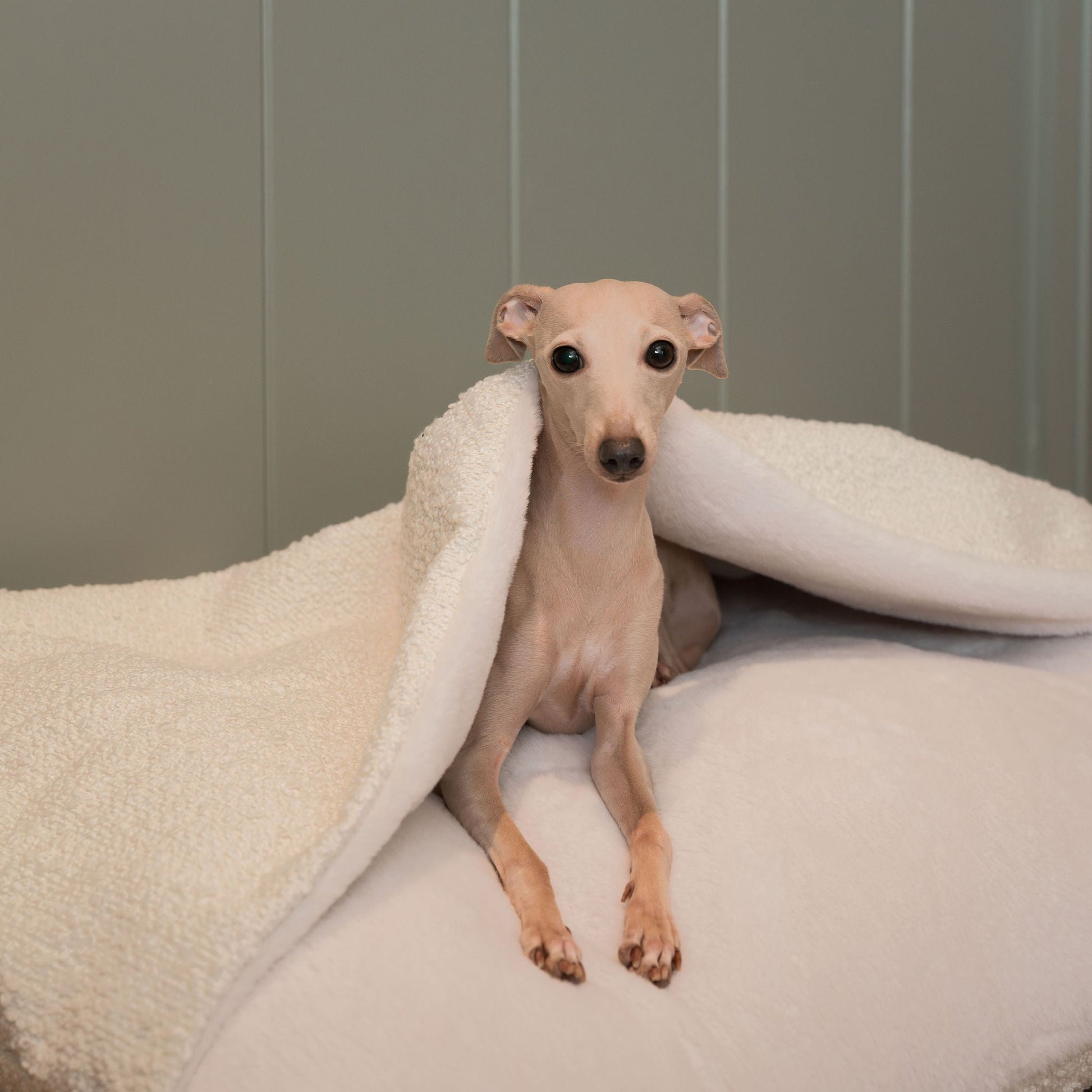 Luxury Ivory Boucle Sleepy Burrow, The Perfect bed For a Pet to Burrow. Available To Personalise In Stunning Ivory Bouclé Here at Lords & Labradors