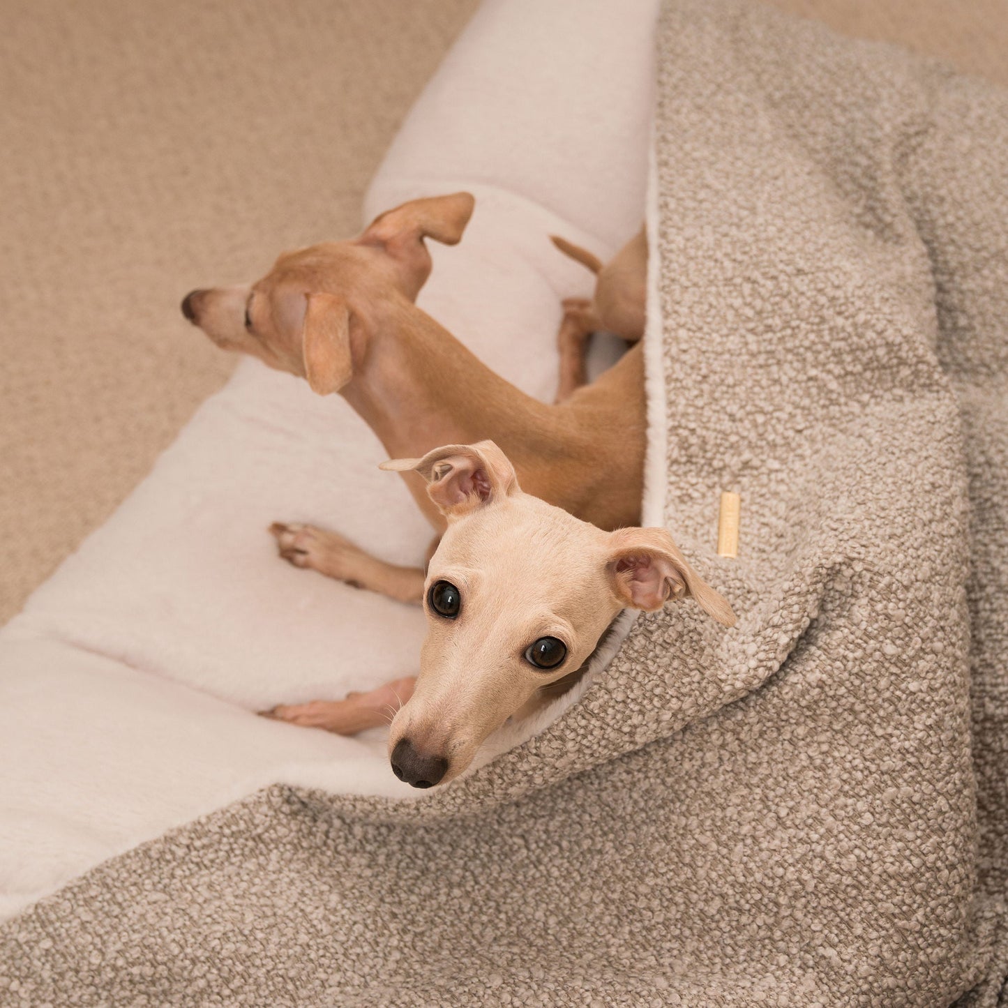 Luxury Mink Boucle Sleepy Burrow, The Perfect bed For a Pet to Burrow. Available To Personalise In Stunning Mink Bouclé Here at Lords & Labradors