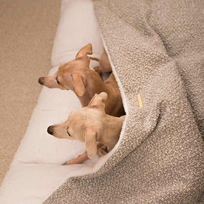 Luxury Mink Boucle Sleepy Burrow, The Perfect bed For a Pet to Burrow. Available To Personalise In Stunning Mink Bouclé Here at Lords & Labradors