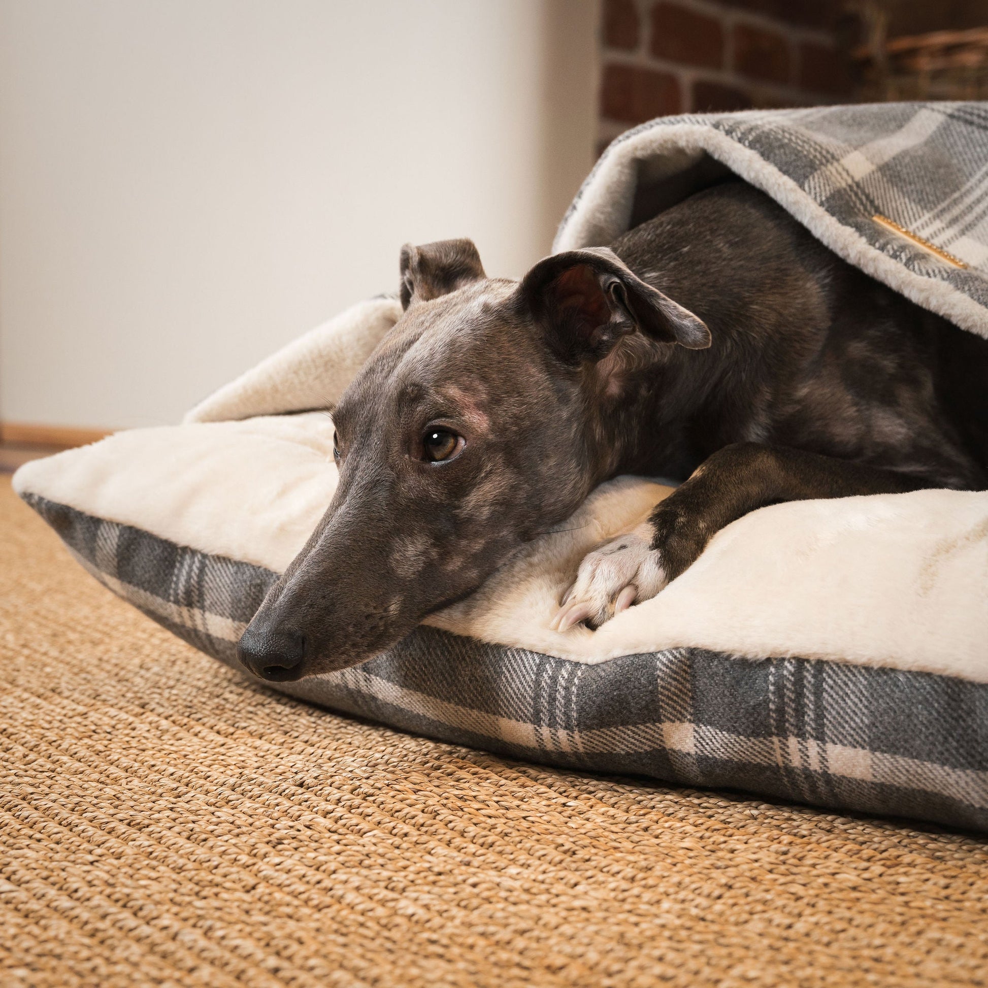  Discover The Perfect Burrow For Your Pet, Our Stunning Sleepy Burrow Dog Beds In Dove Grey Tweed Is The Perfect Bed Choice For Your Pet, Available Now at Lords & Labradors